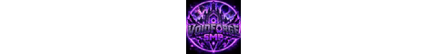 voidforgesmp banner