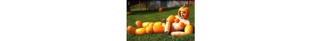 el bebe nik banner