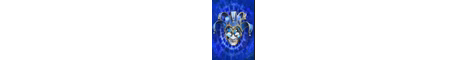 foolermc banner