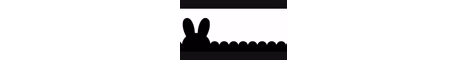 Totems Smp banner