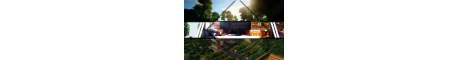 lifestealonlline banner