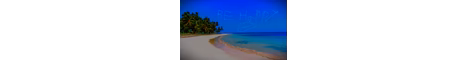 parrot smp banner