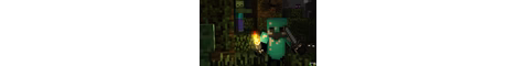 Jungle SMP banner