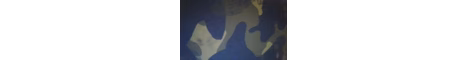 EaglercraftXServer banner