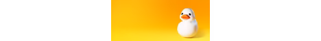MR Duck SMP banner