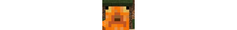 ehroo smp banner