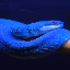 BlueV icon