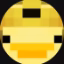 ducksurvival icon