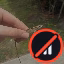 playsurvivalsmp icon