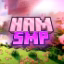 hamsmp icon