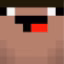 survival SMP icon