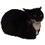 WeeewMC icon