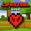 Lifesteal SMP icon