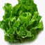 lettucecoolSMP icon