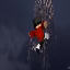 KnightsmpOG icon