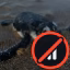survivalsm icon