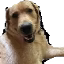 buoySMP icon