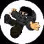 invis SMP icon