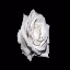 DarkPlace SMP Mc icon