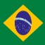 br1smp icon