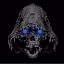 SkullSMP icon
