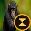 monkemc icon
