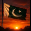 The Pakistani SMP icon