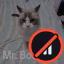 Bom Bom icon