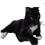 CosmoSMP for other version  icon