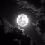 MoonSMP icon