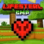 LifeStealSMP icon