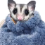 voidvsmp icon