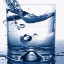 coldfishsmp icon