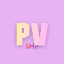 PixelVerseSMP icon