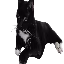 CosmoSMP chapter two icon