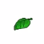 EcoNetwork  icon