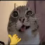 Sahersmp icon
