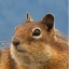 Bruuu icon