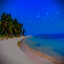 parrot smp icon