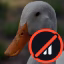 Ducks Anarchy icon