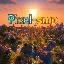 Pixel smp icon