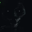 chopped broskie icon